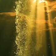 ヒメ日記 2025/04/18 22:10 投稿 まい 性腺熟女100％鶯谷（デリヘル市場）