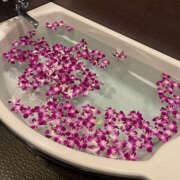 ヒメ日記 2025/05/21 20:57 投稿 まい 性腺熟女100％鶯谷（デリヘル市場）