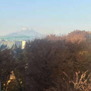 ヒメ日記 2026/02/15 06:45 投稿 まい 性腺熟女100％鶯谷（デリヘル市場）