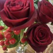 ヒメ日記 2026/04/01 11:40 投稿 まい 性腺熟女100％鶯谷（デリヘル市場）