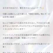 ヒメ日記 2024/12/14 17:50 投稿 らん しゃんぜりぜ