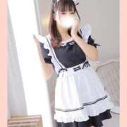 ヒメ日記 2025/02/21 19:54 投稿 らん しゃんぜりぜ