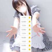 ヒメ日記 2025/04/23 10:34 投稿 らん しゃんぜりぜ