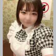 ヒメ日記 2025/05/04 11:41 投稿 らん しゃんぜりぜ