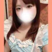 ヒメ日記 2025/05/29 11:27 投稿 らん しゃんぜりぜ