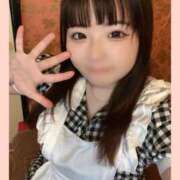 ヒメ日記 2025/06/01 13:44 投稿 らん しゃんぜりぜ