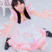 ヒメ日記 2025/07/19 15:52 投稿 らん しゃんぜりぜ