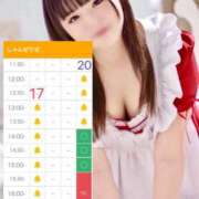 ヒメ日記 2025/08/17 10:25 投稿 らん しゃんぜりぜ