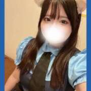 ヒメ日記 2025/10/28 14:47 投稿 らん しゃんぜりぜ