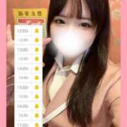 ヒメ日記 2025/11/14 12:39 投稿 らん しゃんぜりぜ