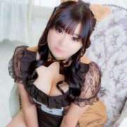 ヒメ日記 2025/12/26 13:45 投稿 らん しゃんぜりぜ