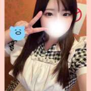 ヒメ日記 2026/01/04 11:33 投稿 らん しゃんぜりぜ