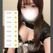 ヒメ日記 2026/03/14 11:11 投稿 らん しゃんぜりぜ