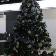 ヒメ日記 2024/12/24 22:30 投稿 ゆめ 性腺熟女100％鶯谷（デリヘル市場）