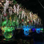 ヒメ日記 2025/08/10 02:10 投稿 ゆめ 性腺熟女100％鶯谷（デリヘル市場）