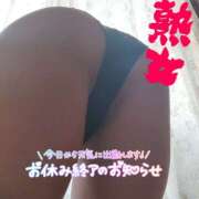 ヒメ日記 2026/06/07 10:30 投稿 ゆうみ 性腺熟女100％鶯谷（デリヘル市場）