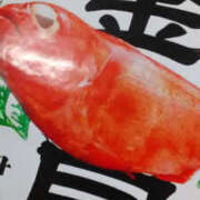 ヒメ日記 2025/02/26 02:30 投稿 かんな 性腺熟女100％鶯谷（デリヘル市場）