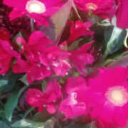 ヒメ日記 2025/04/15 20:51 投稿 かんな 性腺熟女100％鶯谷（デリヘル市場）