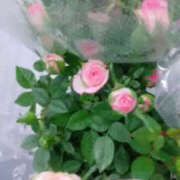 ヒメ日記 2025/05/08 21:44 投稿 かんな 性腺熟女100％鶯谷（デリヘル市場）