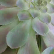 ヒメ日記 2025/05/22 13:04 投稿 かんな 性腺熟女100％鶯谷（デリヘル市場）