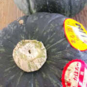 ヒメ日記 2025/06/20 11:55 投稿 かんな 性腺熟女100％鶯谷（デリヘル市場）