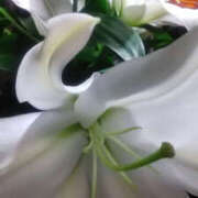 ヒメ日記 2025/09/07 01:31 投稿 かんな 性腺熟女100％鶯谷（デリヘル市場）