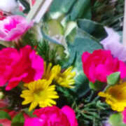 ヒメ日記 2026/01/01 16:32 投稿 かんな 性腺熟女100％鶯谷（デリヘル市場）