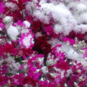 ヒメ日記 2026/02/08 13:15 投稿 かんな 性腺熟女100％鶯谷（デリヘル市場）