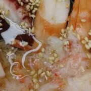 ヒメ日記 2026/03/01 02:12 投稿 かんな 性腺熟女100％鶯谷（デリヘル市場）