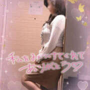 ヒメ日記 2025/03/19 16:47 投稿 くみこ 性腺熟女100％鶯谷（デリヘル市場）