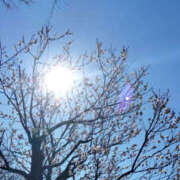 ヒメ日記 2025/02/16 09:17 投稿 あずみ 性腺熟女100％鶯谷（デリヘル市場）