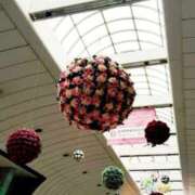 ヒメ日記 2025/03/09 08:13 投稿 あずみ 性腺熟女100％鶯谷（デリヘル市場）