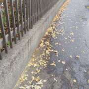 ヒメ日記 2025/11/26 09:15 投稿 あずみ 性腺熟女100％鶯谷（デリヘル市場）