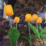 ヒメ日記 2025/12/20 16:18 投稿 あずみ 性腺熟女100％鶯谷（デリヘル市場）