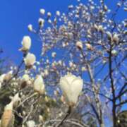 ヒメ日記 2026/03/08 09:15 投稿 あずみ 性腺熟女100％鶯谷（デリヘル市場）