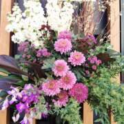 ヒメ日記 2026/03/15 19:35 投稿 あずみ 性腺熟女100％鶯谷（デリヘル市場）