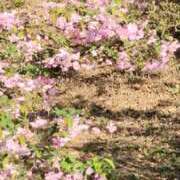 ヒメ日記 2026/04/05 09:15 投稿 あずみ 性腺熟女100％鶯谷（デリヘル市場）