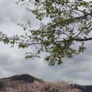 ヒメ日記 2026/04/11 13:20 投稿 あずみ 性腺熟女100％鶯谷（デリヘル市場）