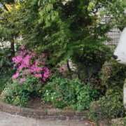ヒメ日記 2026/04/29 20:35 投稿 あずみ 性腺熟女100％鶯谷（デリヘル市場）