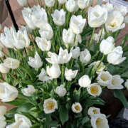 ヒメ日記 2025/03/01 14:57 投稿 いぶき 性腺熟女100％鶯谷（デリヘル市場）