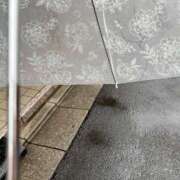 ヒメ日記 2025/06/03 10:25 投稿 すみれ 大宮おかあさん