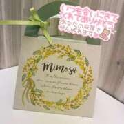 ヒメ日記 2026/04/12 12:15 投稿 夢咲ことの 千葉快楽Ｍ性感倶楽部～前立腺マッサージ専門～