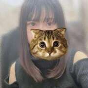 ヒメ日記 2025/03/22 17:41 投稿 夢咲ことの 癒したくて千葉店～日本人アロマ性感～