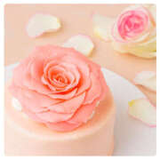 ヒメ日記 2026/01/17 14:35 投稿 けい 性腺熟女100％鶯谷（デリヘル市場）