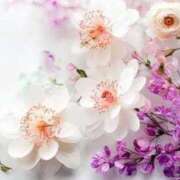 ヒメ日記 2025/07/08 02:54 投稿 さゆり 性腺熟女100％鶯谷（デリヘル市場）