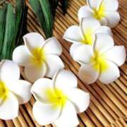 ヒメ日記 2025/07/10 08:20 投稿 さゆり 性腺熟女100％鶯谷（デリヘル市場）