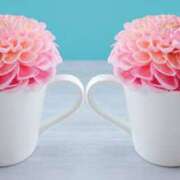 ヒメ日記 2025/08/06 11:34 投稿 さゆり 性腺熟女100％鶯谷（デリヘル市場）