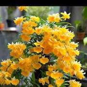 ヒメ日記 2025/08/27 07:12 投稿 さゆり 性腺熟女100％鶯谷（デリヘル市場）