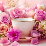 ヒメ日記 2025/11/25 11:48 投稿 さゆり 性腺熟女100％鶯谷（デリヘル市場）