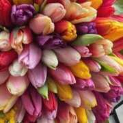 ヒメ日記 2026/01/26 03:32 投稿 さゆり 性腺熟女100％鶯谷（デリヘル市場）